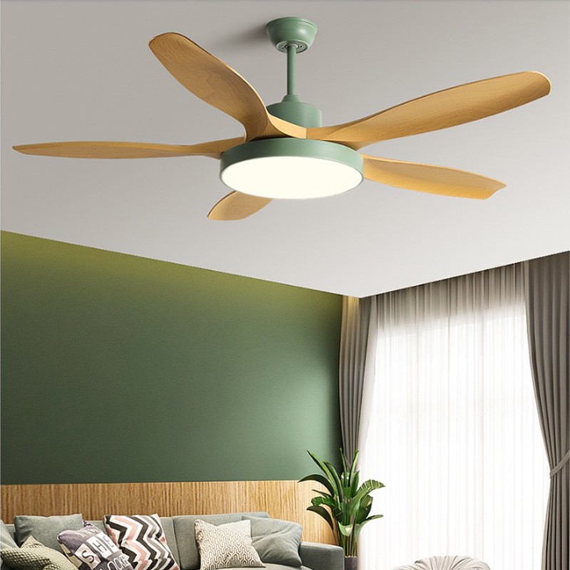 CGE-2021 Hanging fan light