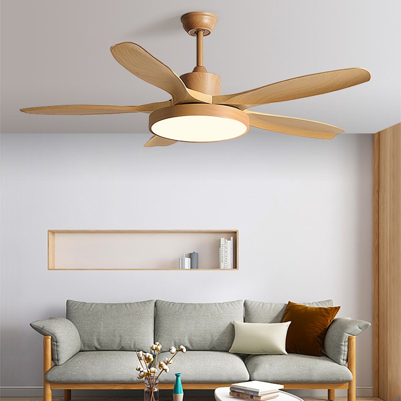 CGE-2021 Hanging fan light