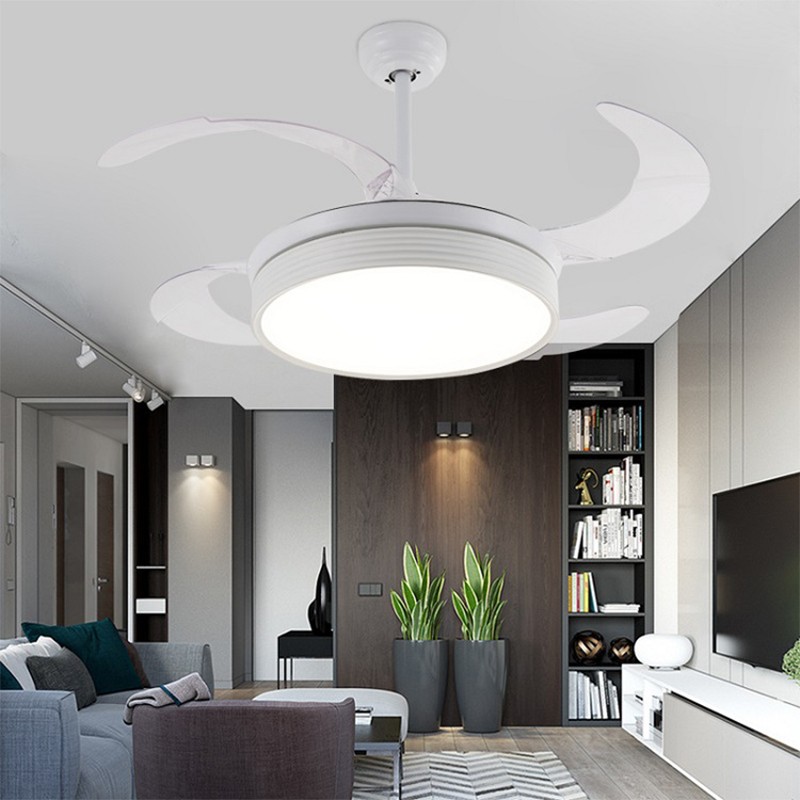 CGE-422 Unique fan light fixture