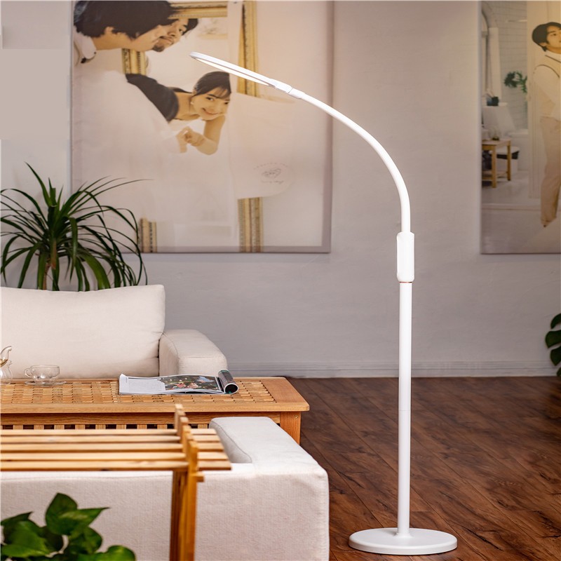 CGE-DEL-L55 Adjustable Gooseneck Floor Reading Lamp with Remote and Touch Control for Bedroom Office
